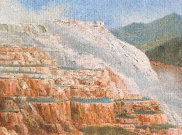 MINERVA TERRACE