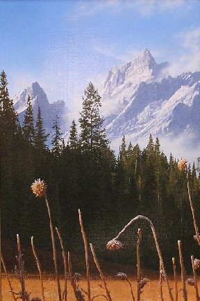 FROSTED THISTLES
