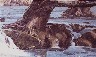 RIVER ROOTS STUDY