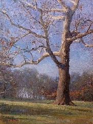 SYCAMORE
