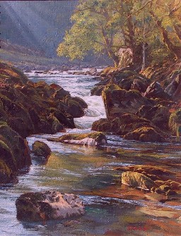 MOSSY BROOK