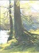 COTTAGE ACROSS THE BROOK