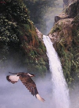 COSTA RICAN DREAM