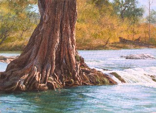 RIVER CYPRESS