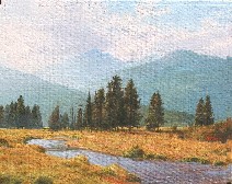 ROCKY MOUNTAIN MEADOW