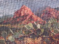 SEDONA CACTUS