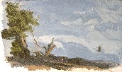 LONELY TREE