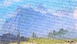 MOUNTAIN MIST STUDY