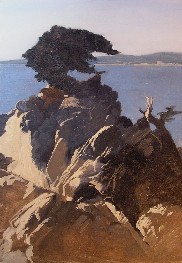 DYNAMIC OUTCROP