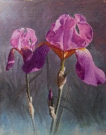 PURPLE & BLUE IRIS