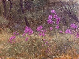 PURPLE FLOX