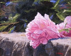 PINK PEONY