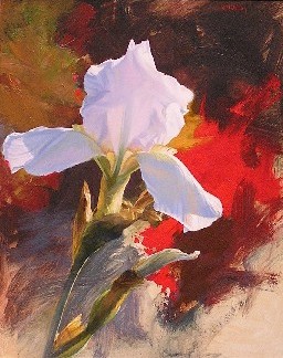 IRIS WHITE & RED